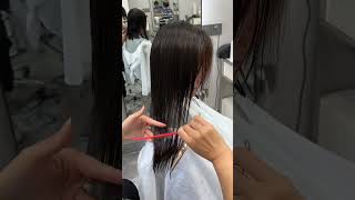 Mastering the Collarbone Haircut Hair step Cutting Styling Tutorial for Beginners hairgurudiaries [upl. by Aehcim809]