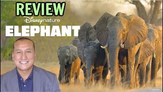 ELEPHANT Disneynature Documentary Review  Narrated by Meghan Markle 2020 [upl. by Adimra]