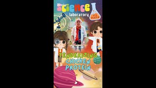 Science Experiment  Chicken Protein 🍗  P3 P4 P6 [upl. by Adohr]