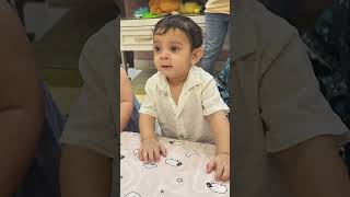 Minal Khan Shares Adorable Video of ‘Little Intruders’ 💕  Hungama Express [upl. by Ariuqahs218]