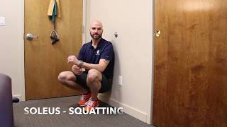 SOLEUS SQUAT [upl. by Ailicec]