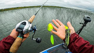 Minnesota Musky Fishing TOURNAMENT Fishing DEEP In The Reeds For Muskie [upl. by Merriman668]