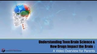 Understanding Teen Brain Science amp How Drugs Impact the Brain [upl. by Richella]