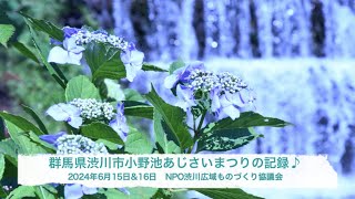 群馬県渋川市小野池あじさいまつりの記録 2024年6月15日amp16日 [upl. by Cleo436]