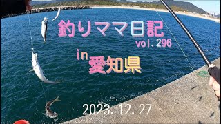 釣りママ日記vol296愛知県 [upl. by Annice71]