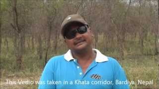 Khata Biological corridor Bhadai Tharu and conservation song [upl. by Analram]