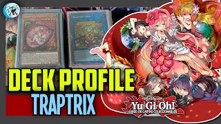 ✅📈DECK PROFILE TRAPTRIX  YUGIOH 2024 [upl. by Ecienal512]