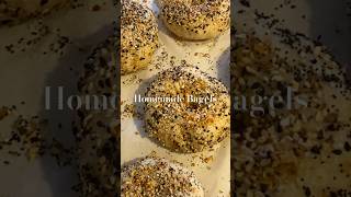 I used sourdough starter to make everything bagels🥯full vlog amp recipe going live at 5pm est today [upl. by Iasi]