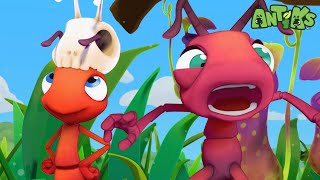 The Big Pitcher 😄🐜 Antiks Adventures  Joey and Boos Playtime [upl. by Nyrat]