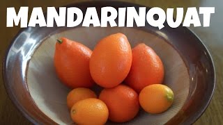 MANDARINQUAT amp KUMQUAT Taste Test  Fruity Fruits [upl. by Katuscha432]