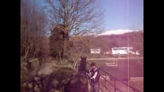 Mustang ranch Sinj Croatiahorses [upl. by Ahsita]