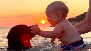 The World Must Watch 2 Minutes and 27 Seconds of a Beautiful Bond Between Baby and Dog [upl. by Une]