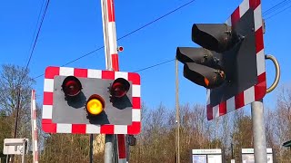 Halogen Lights and Class 37 at Aspley Guise Level Crossing Bedfordshire [upl. by Spense]