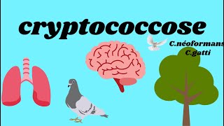 cryptococcose by Nélma [upl. by Erroll87]