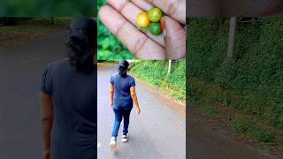 காரக்காய் பழம் என நினைச்சு ஆசையாய் பறிக்க போனேன் 😒  village fruit tamil [upl. by Westland202]