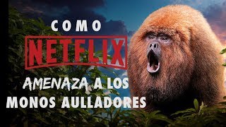 Netflix pone en riesgo a los Monos Aulladores  Ética Documental [upl. by Ellehcam]