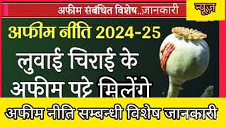 अफीम नीति 202425 लुवाई चिराई के अफीम पट्टे मिलेंगे afim niti 202425 luvaai chirai patte milenge [upl. by Vallonia780]