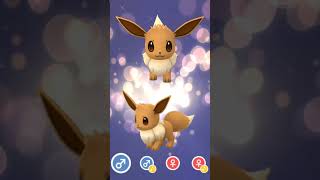 Discover the Seven Amazing Eevee Evolutions in Pokémon GO [upl. by Adiene]