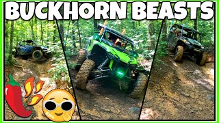 Buckhorn OHV trails 📍Arkansas west side UTV group ride [upl. by Affer]