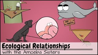 Ecological Relationships [upl. by Animsaj]