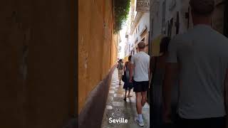 Narrow beautiful streets of Seville in Spain [upl. by Dlorej]