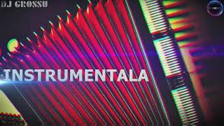 Nou  Manea Instrumentala Romaneasca Acordeon amp Bass  Official song  2021 [upl. by Gonsalve576]