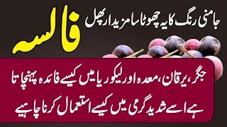 Health Benefits Of Phalsa Fruit  Falsa Ke Fayde Urdu Hindi  Urdu Lab [upl. by Junko544]