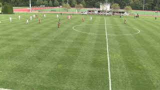 Vassar Mens Soccer vs Hobart Highlights [upl. by Salomone]