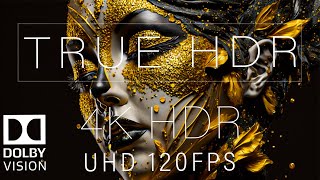 Wonderful 4K HDR 120FPS DOLBY VISION [upl. by Parnas269]