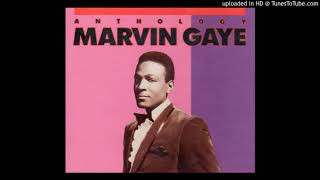 Marvin Gaye  Stubborn Kind Of Fellow Stereo Mix [upl. by Asiuol546]