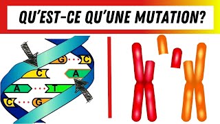 Quest ce quune mutation Définition et explications [upl. by Anwahsat90]