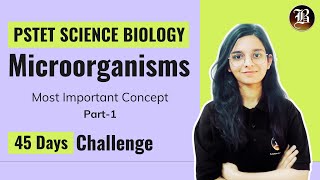 Microorganisms Part1  PSTET Science  PSTET Biology Paper2  45 Days Crash Course Bansal academy [upl. by Ahseinod]