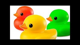 Patos de goma en la piscina con Colores para ninos con Canciones infantiles con bano [upl. by Surtimed586]