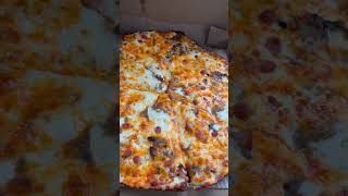 The VIRAL Dominos pizza a descent into HELL [upl. by Muhcan]