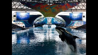 SeaWorld Orca Encounter San Antonio [upl. by Binky]