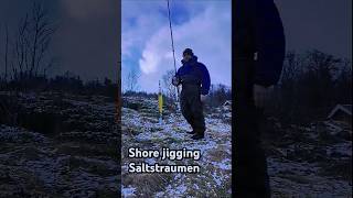 shorefishingnorway savagegearjiggingrods norwayfishing saltstraumen cod saltiga [upl. by Melmon285]