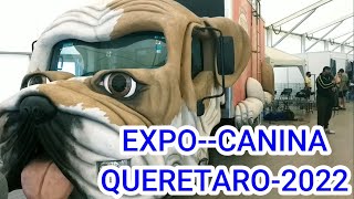 EXPO CANINA QUÉRETARO 2022 MÉXICO ASI SE VIVIO [upl. by Gretel529]