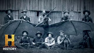 The UnXplained Pterodactyl Creature Spotted in 1800s Arizona Season 4 [upl. by Allbee]