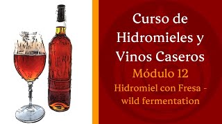 Cómo hacer HIDROMIEL CON FRESA MELOMEL wild fermentation MODÚLO 12 [upl. by Leiand620]