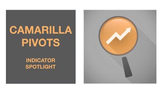 Camarilla Pivots Spotlight [upl. by Briano]