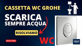 Scarico a cassetta wc Grohe perde acqua come risolvere e come funziona il galleggiante e la valvola [upl. by Haila190]