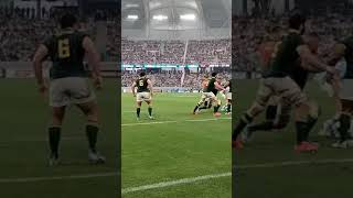 TRY LOS PUMAS ALBORNOZ VS SUDAFRICA 2024 [upl. by Lotson]