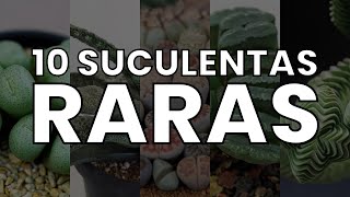 10 Suculentas RARAS  Rare Succulents [upl. by Eneri]