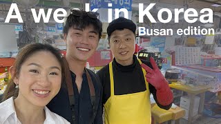 A week in Korea  Busan Edition Places to visit and food we ate [upl. by Ecinrahs729]