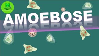 AMOEBOSE  ENTAMOEBOSE cours de parasitologie médicale [upl. by Naelopan]