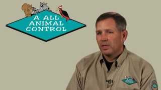 Start a Nuisance Wildlife Control Business [upl. by Hulburt]