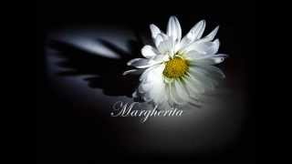 Margherita  Riccardo Cocciante with lyrics [upl. by Derril962]