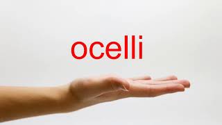 How to Pronounce ocelli  American English [upl. by Aneehsram]