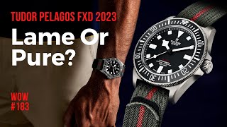 Tudor Pelagos FXD 2023 Black  Watch of the Week Review 183 [upl. by Geis]