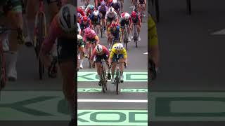 Photofinish by Tissot  Stage 2  Tour de France Femmes avec Zwift 2024 [upl. by Edveh]